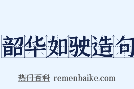 韶华如驶造句是什么意思的图片